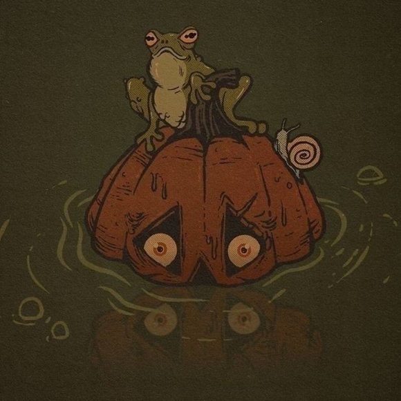 Meet your Posher, Cinders - Picture 1 of 1